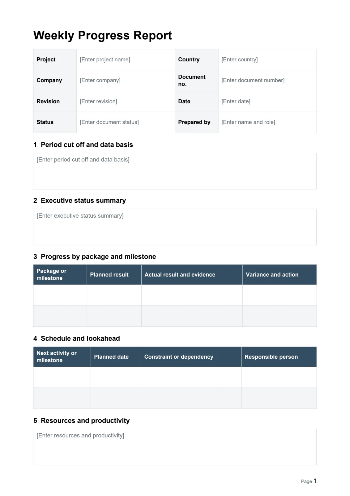 Weekly Progress Report · Document preview